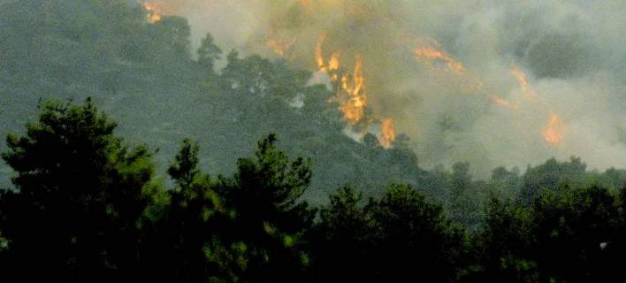 Κύπρος: Μεγάλη πυρκαγιά στο δάσος της Πάφου -Θα είναι μεγάλη νύχτα λέει η πυροσβεστική